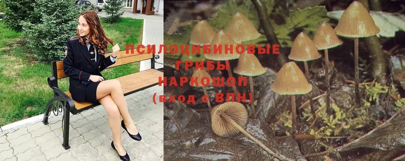 Галлюциногенные грибы Magic Shrooms  Кинель 